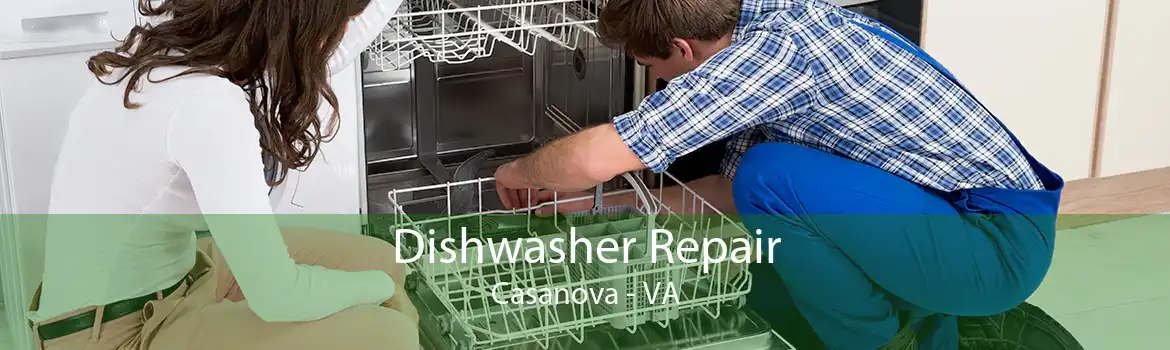 Dishwasher Repair Casanova - VA
