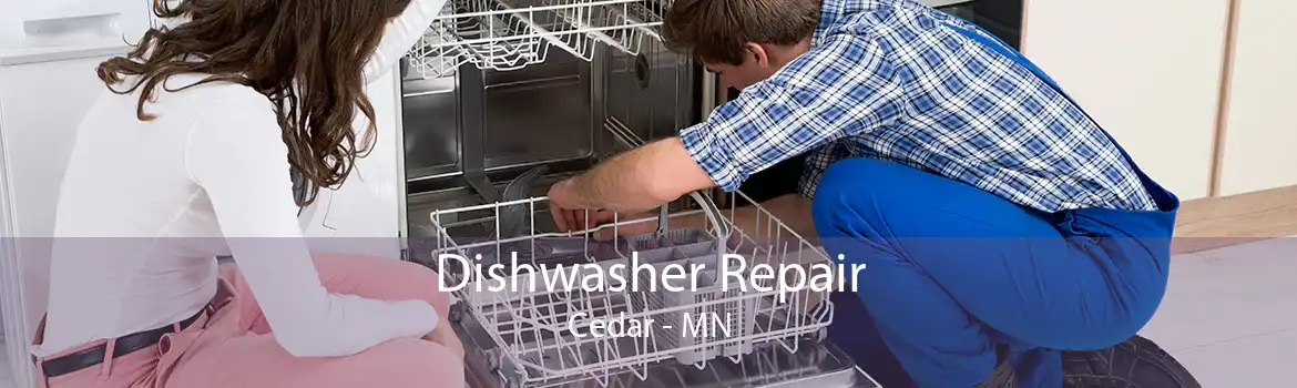 Dishwasher Repair Cedar - MN