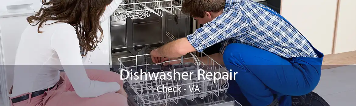 Dishwasher Repair Check - VA