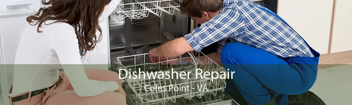 Dishwasher Repair Coles Point - VA
