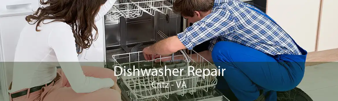 Dishwasher Repair Critz - VA