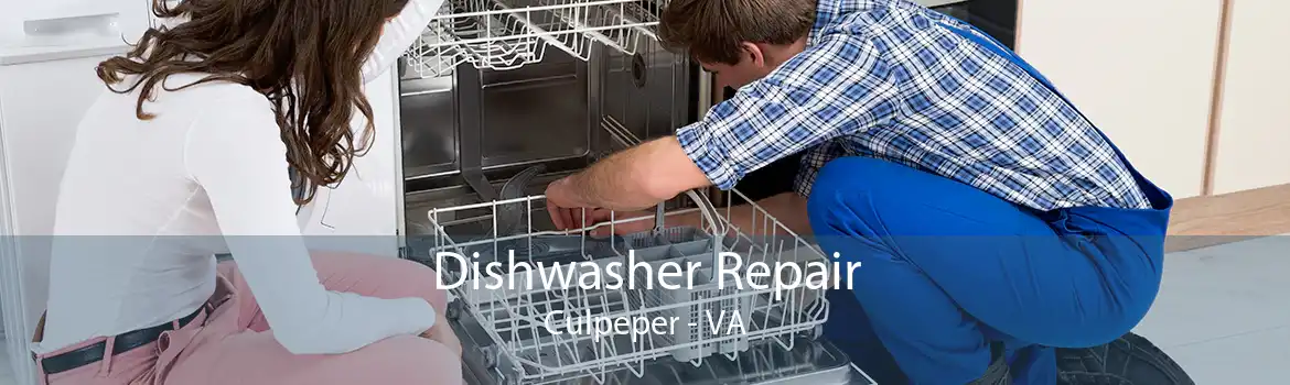 Dishwasher Repair Culpeper - VA