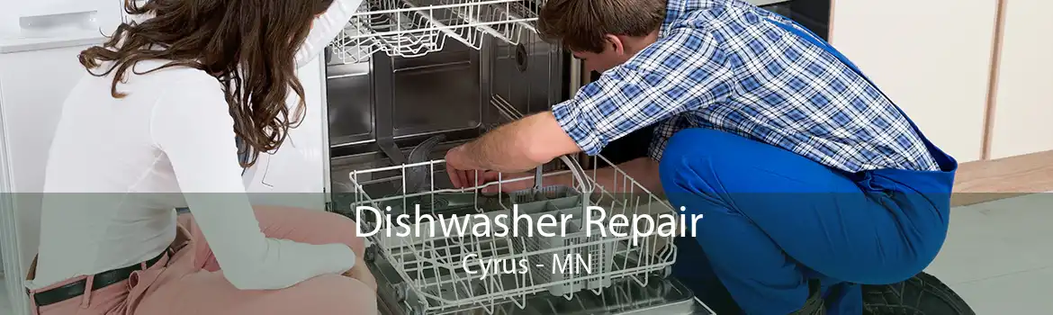 Dishwasher Repair Cyrus - MN