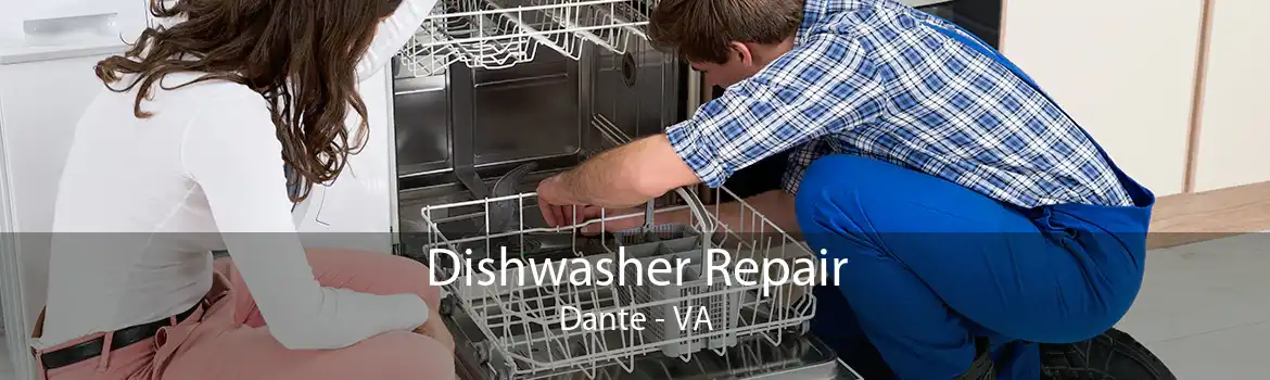 Dishwasher Repair Dante - VA