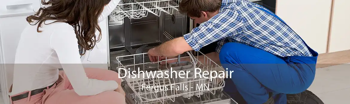 Dishwasher Repair Fergus Falls - MN