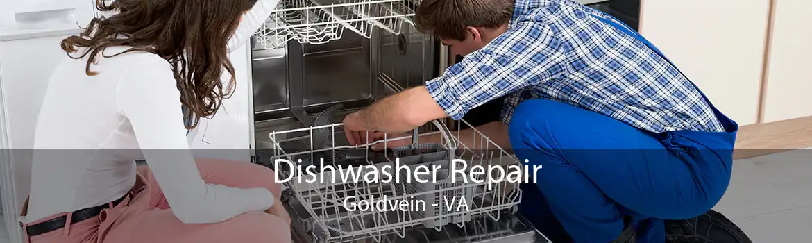 Dishwasher Repair Goldvein - VA