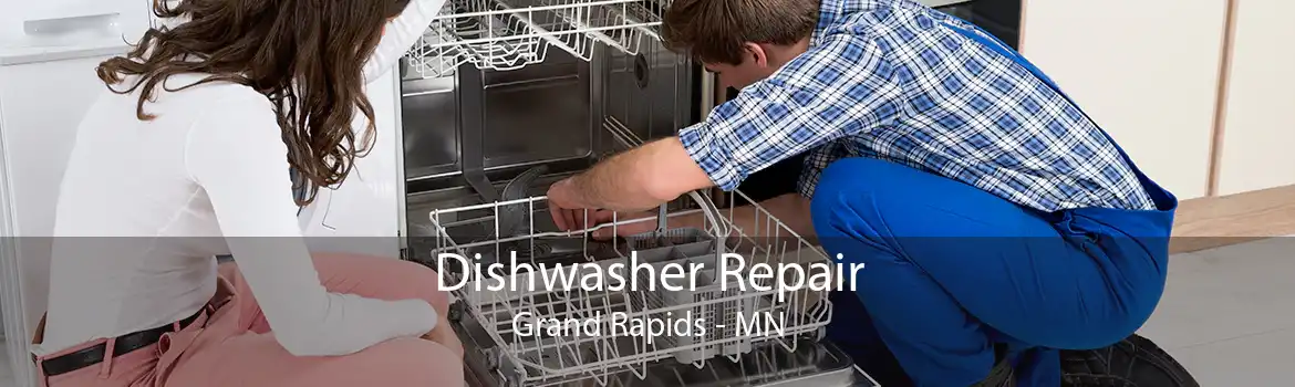 Dishwasher Repair Grand Rapids - MN