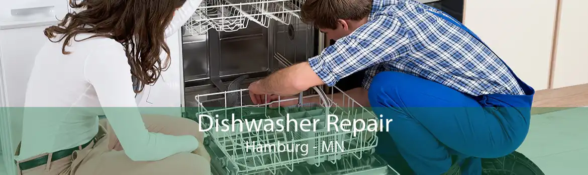 Dishwasher Repair Hamburg - MN