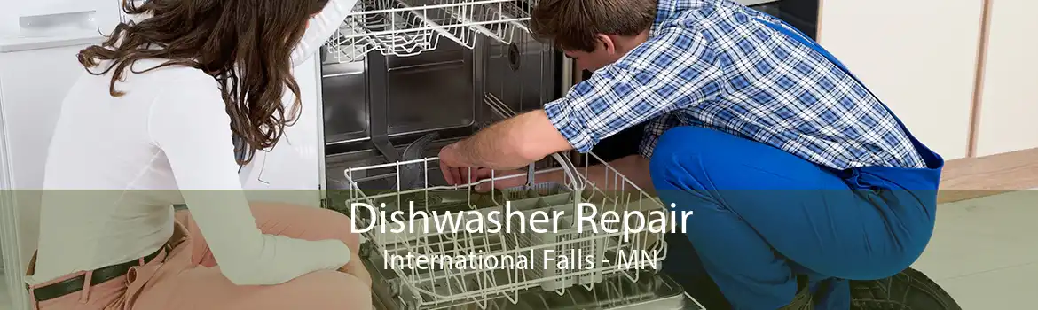 Dishwasher Repair International Falls - MN