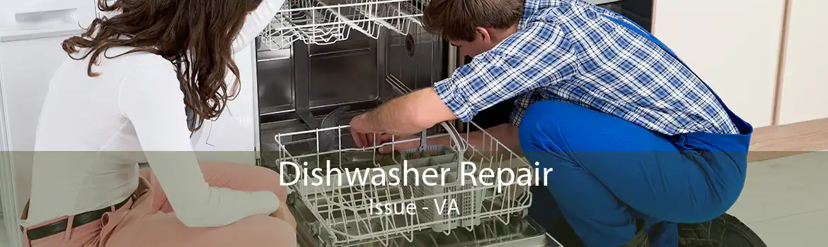 Dishwasher Repair Issue - VA