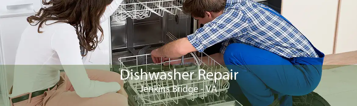 Dishwasher Repair Jenkins Bridge - VA