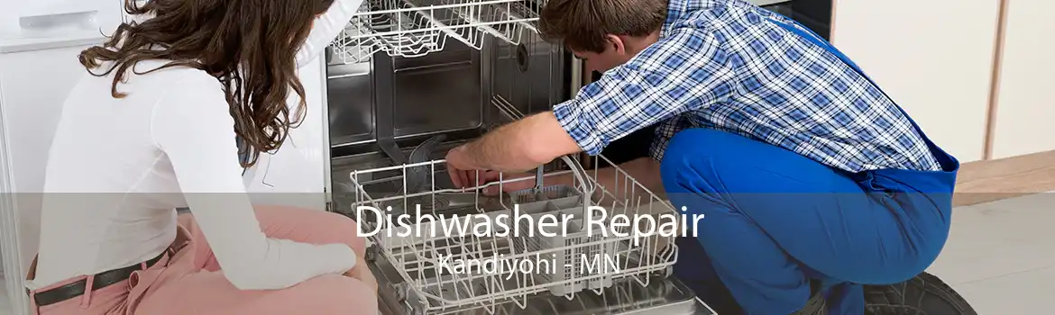 Dishwasher Repair Kandiyohi - MN