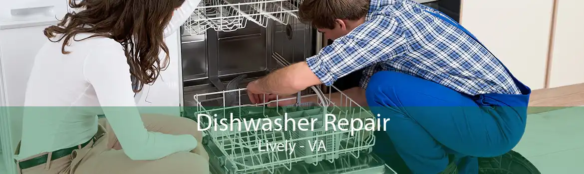 Dishwasher Repair Lively - VA