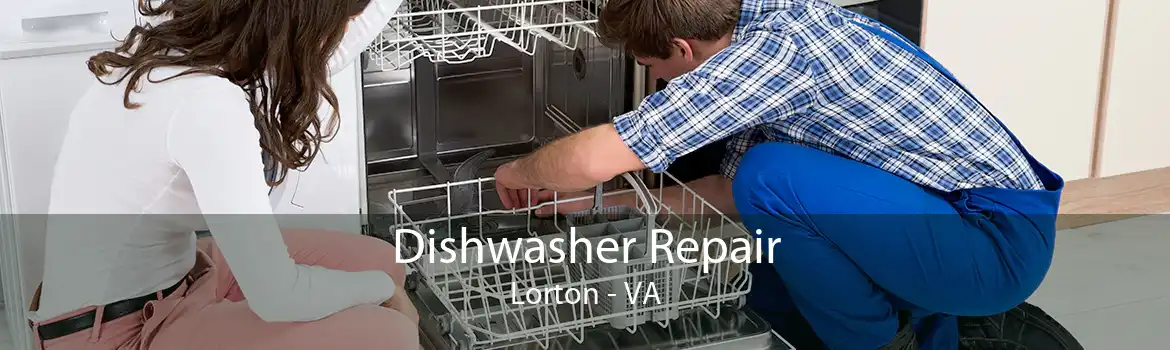 Dishwasher Repair Lorton - VA