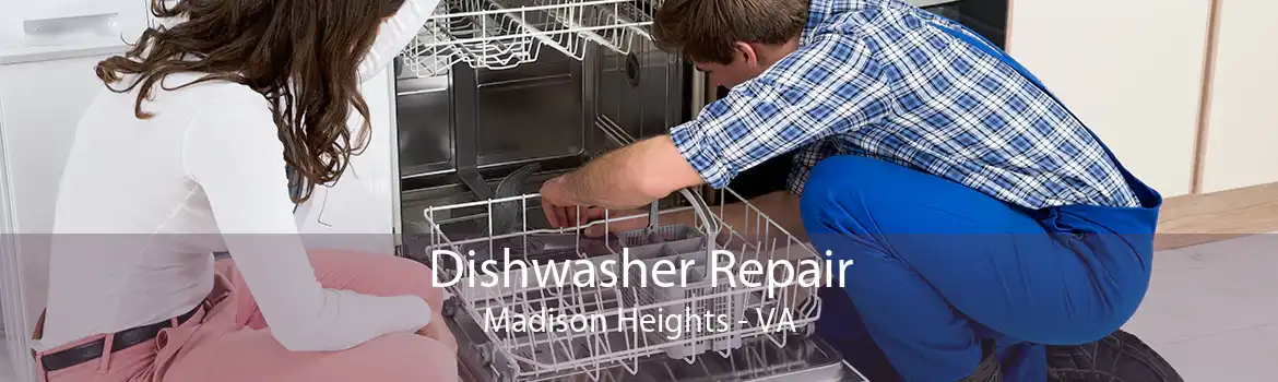 Dishwasher Repair Madison Heights - VA