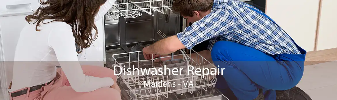 Dishwasher Repair Maidens - VA