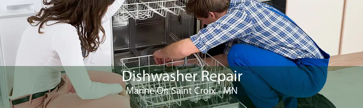 Dishwasher Repair Marine On Saint Croix - MN