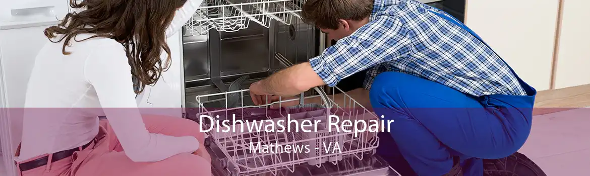 Dishwasher Repair Mathews - VA