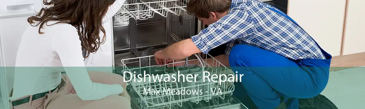 Dishwasher Repair Max Meadows - VA
