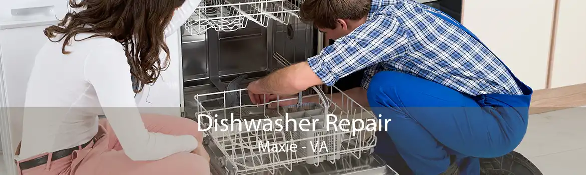 Dishwasher Repair Maxie - VA