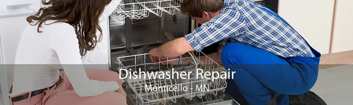 Dishwasher Repair Monticello - MN