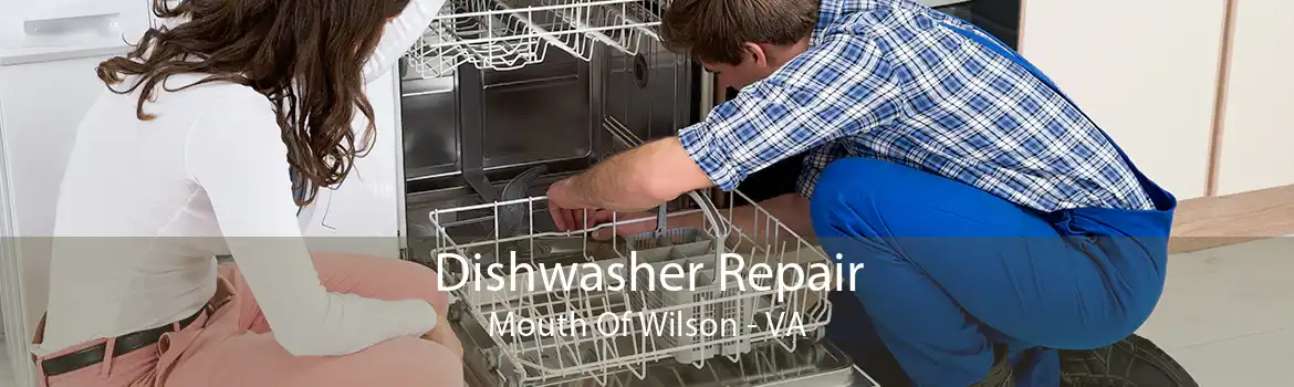 Dishwasher Repair Mouth Of Wilson - VA