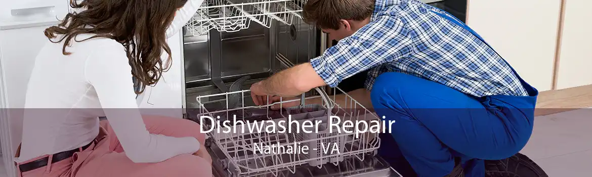 Dishwasher Repair Nathalie - VA