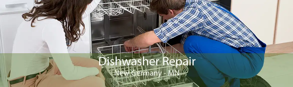 Dishwasher Repair New Germany - MN