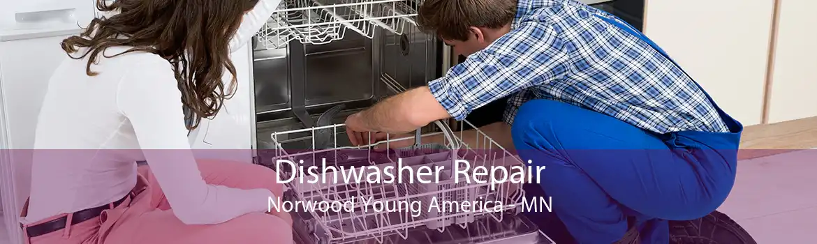 Dishwasher Repair Norwood Young America - MN