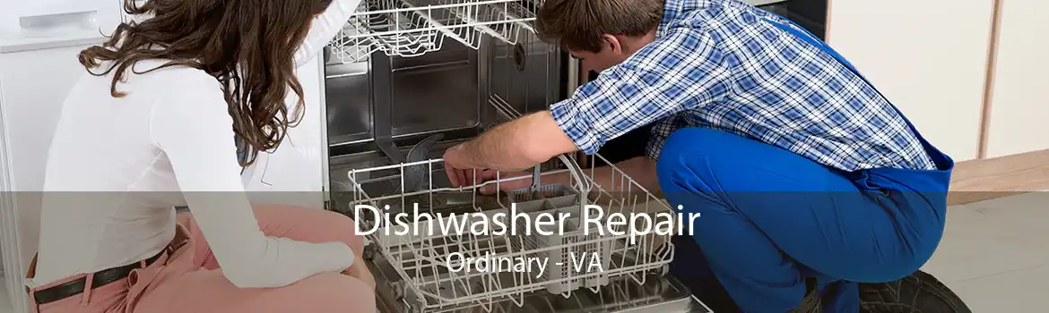 Dishwasher Repair Ordinary - VA