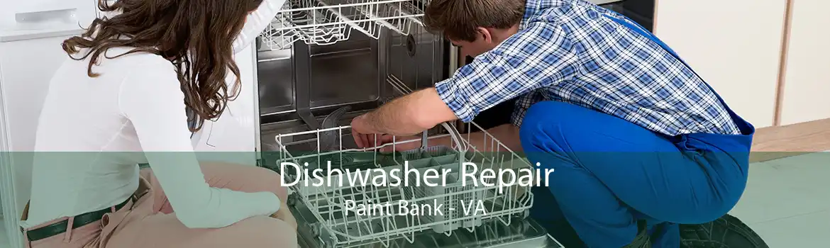 Dishwasher Repair Paint Bank - VA