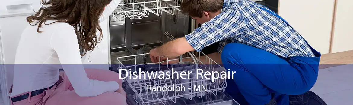 Dishwasher Repair Randolph - MN