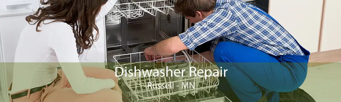 Dishwasher Repair Russell - MN