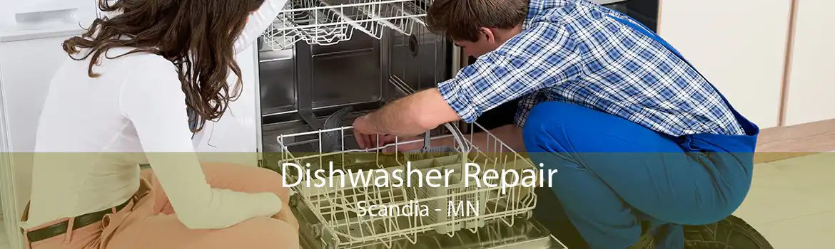 Dishwasher Repair Scandia - MN