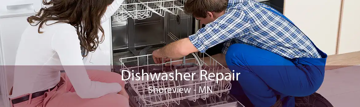 Dishwasher Repair Shoreview - MN
