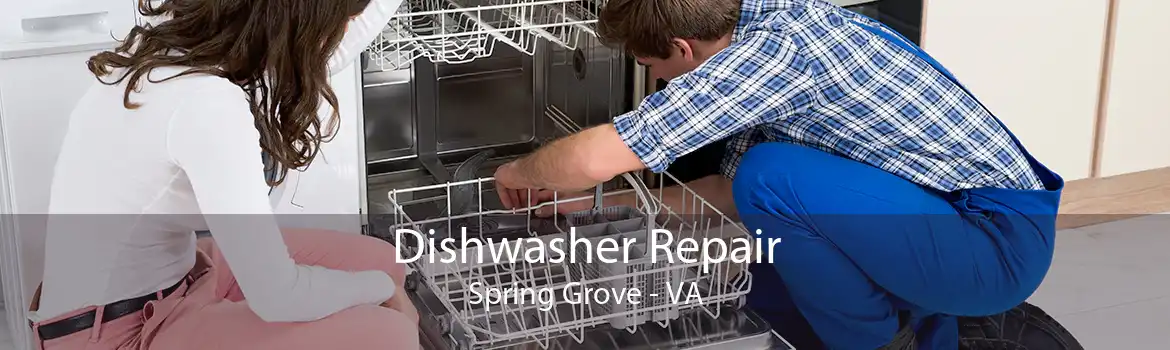 Dishwasher Repair Spring Grove - VA