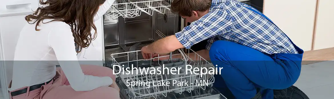 Dishwasher Repair Spring Lake Park - MN
