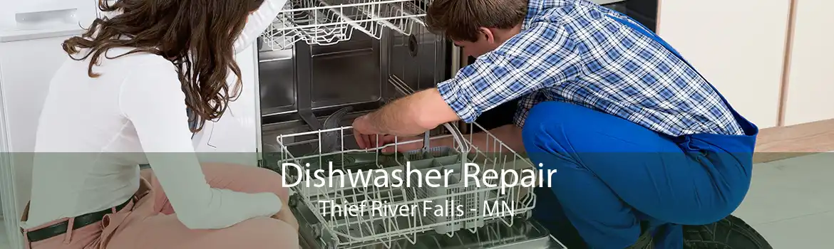 Dishwasher Repair Thief River Falls - MN
