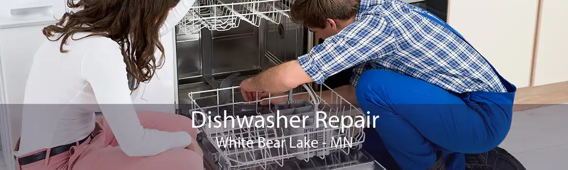 Dishwasher Repair White Bear Lake - MN