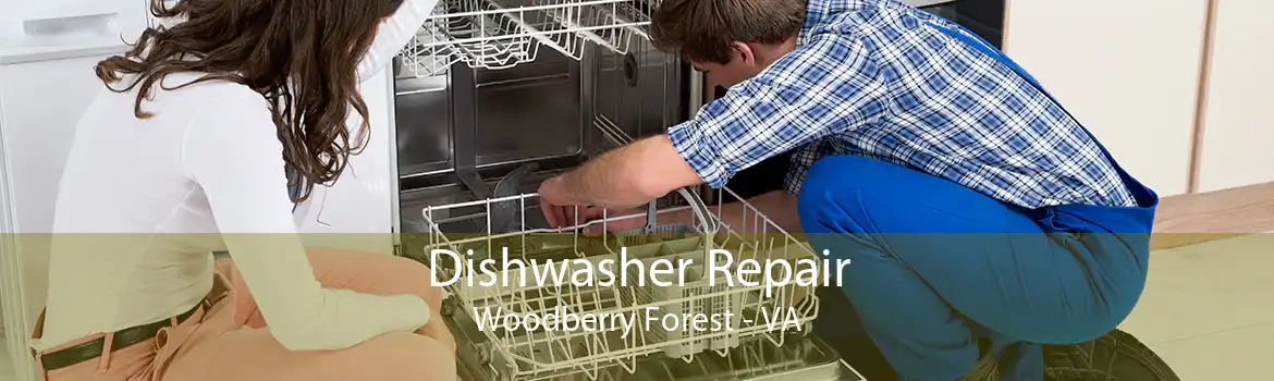 Dishwasher Repair Woodberry Forest - VA