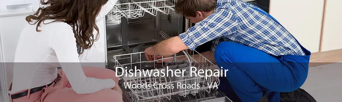 Dishwasher Repair Woods Cross Roads - VA