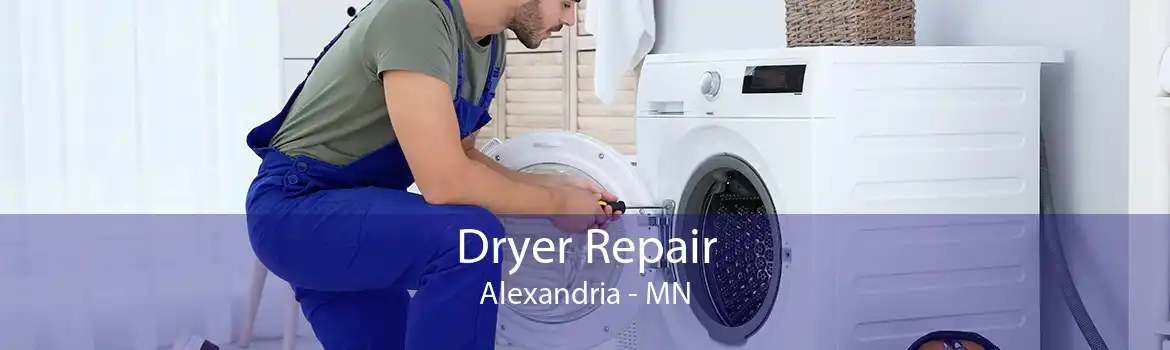 Dryer Repair Alexandria - MN