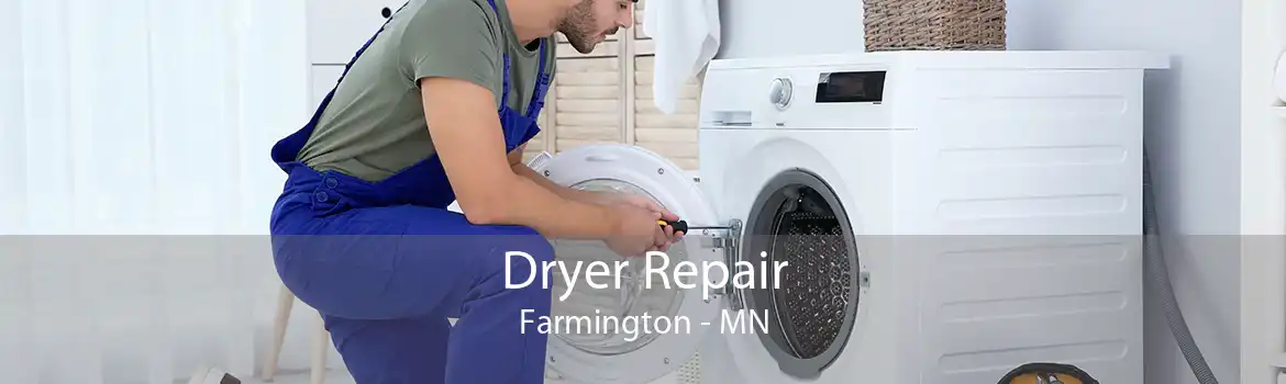 Dryer Repair Farmington - MN