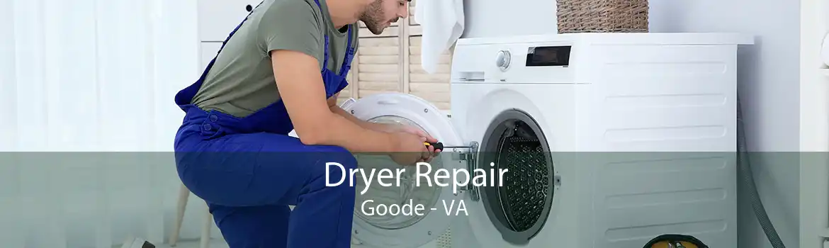 Dryer Repair Goode - VA