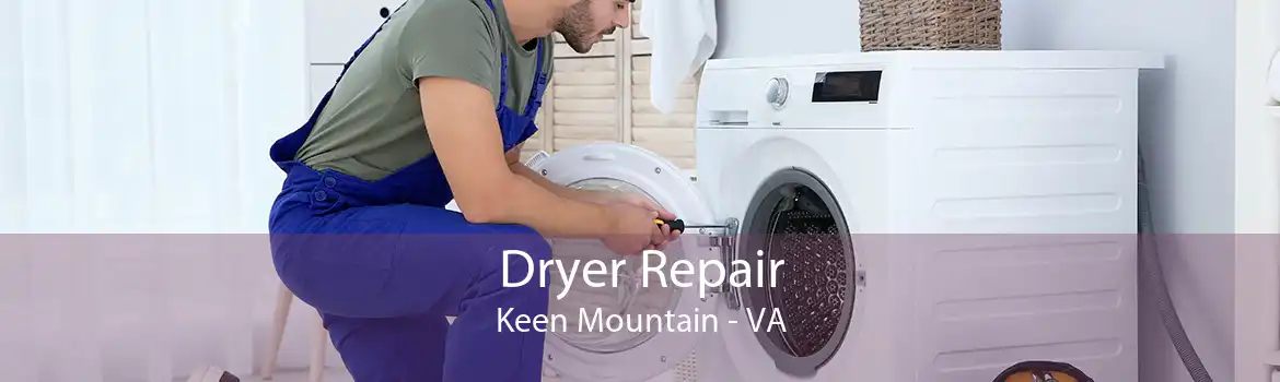 Dryer Repair Keen Mountain - VA