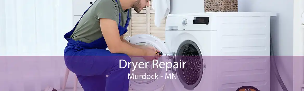 Dryer Repair Murdock - MN
