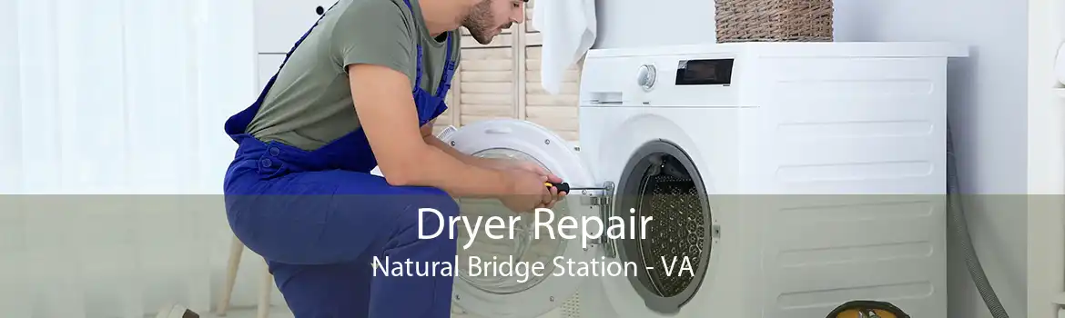 Dryer Repair Natural Bridge Station - VA