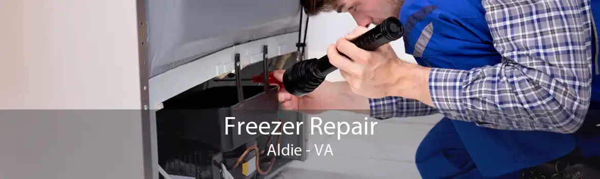 Freezer Repair Aldie - VA