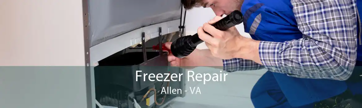 Freezer Repair Allen - VA