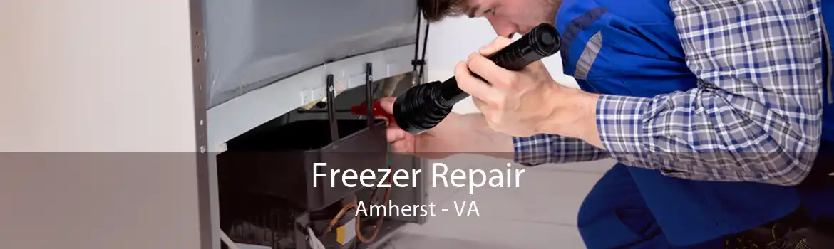 Freezer Repair Amherst - VA